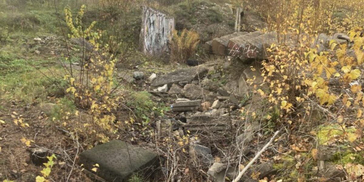 Posttraumaatiline stressihäire